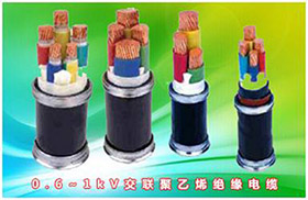 0.6~1kV交聯聚乙烯絕緣電力電纜